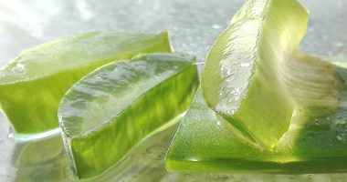 aloe vera bienfaits